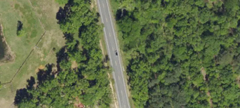 Wooded Land Tract