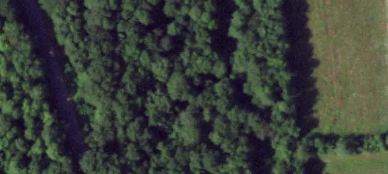 Wooded Hunting Land