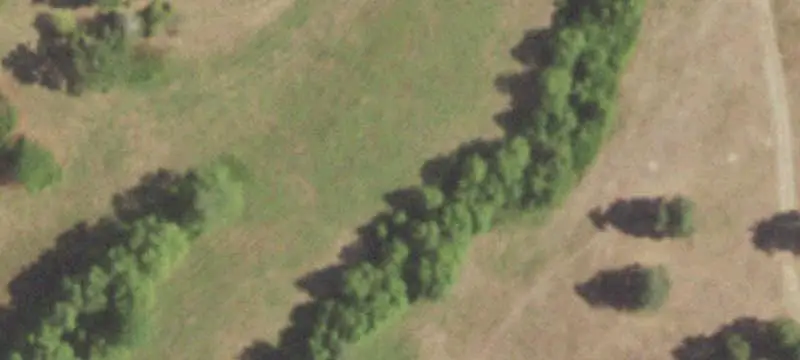 Farm Property with Guest Cabins