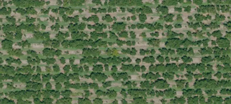 Walnut and Cherry Farm