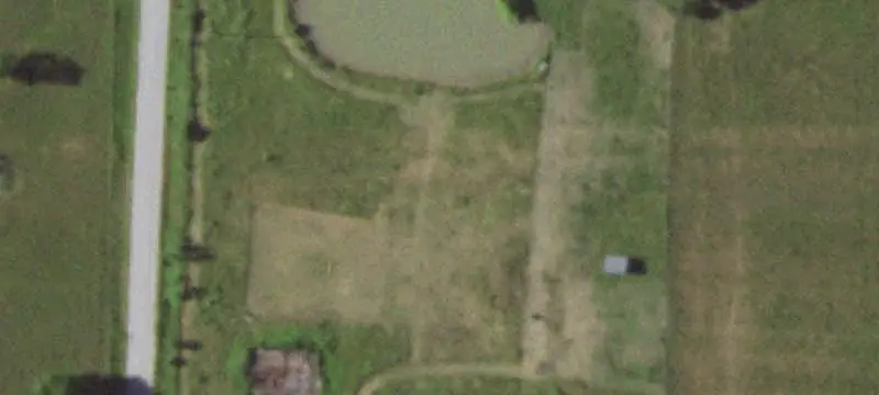 Cattle Farm with Holding Pens