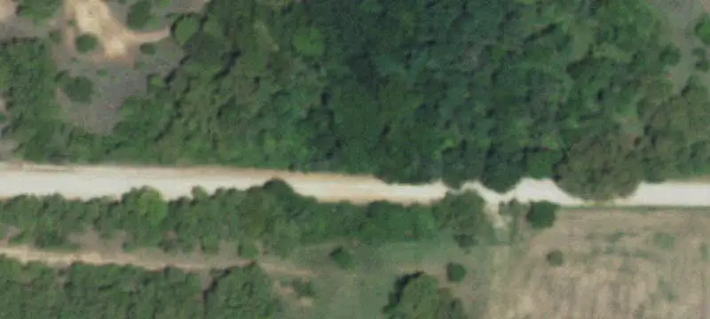 Whitetail Hunting Ranch