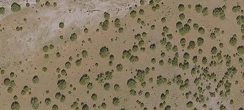 Agricultural Land Near Concho Highway
