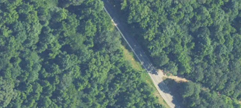 Locust Fork Waterfront Land