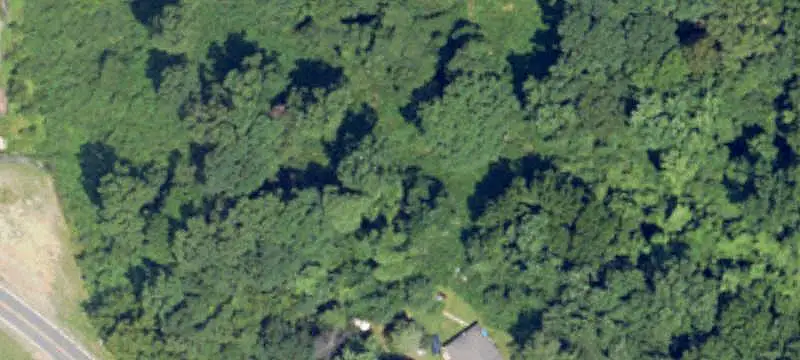 Land / Acreage (more than 10 acres)