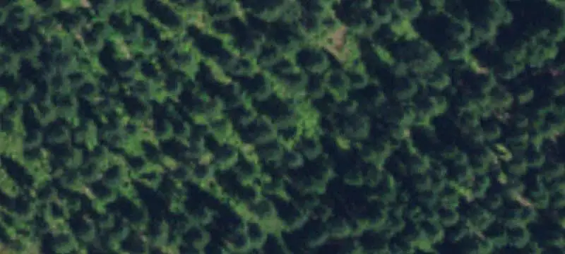 Land / Unimproved Land
