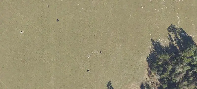 Vacant Commercial Land