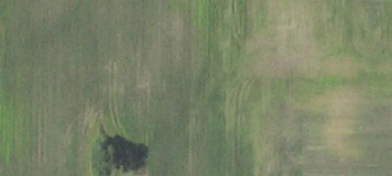 Land / Vacant Land