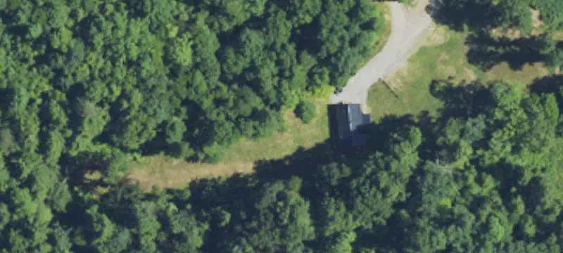 Wooded Hunting Land