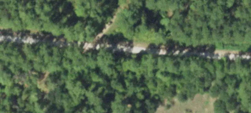 Timbered Hunting Land