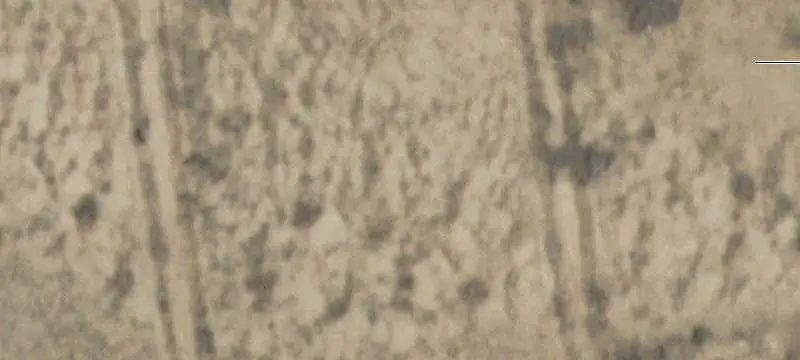 3-Lot Land Parcel