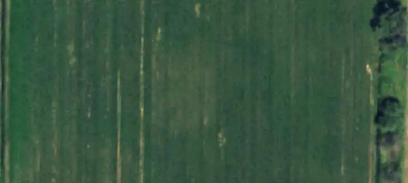 Irrigated Agricultural Land
