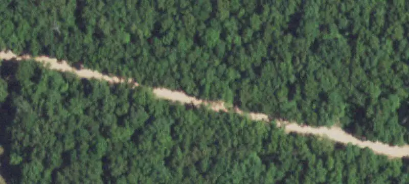 Wooded Hunting Land