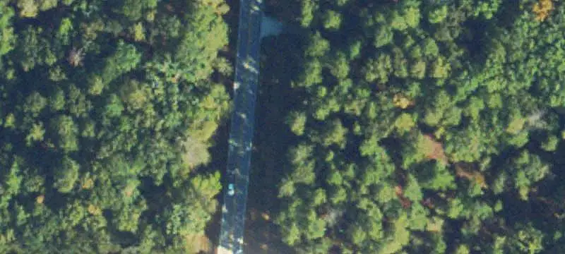 Hunting Land with Pine Cover