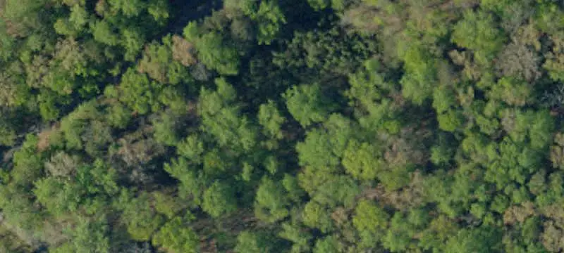 Lakefront Land Parcel