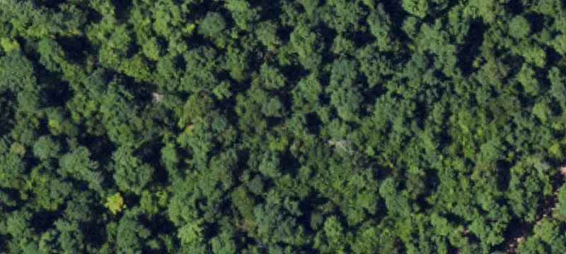 Wooded Recreation Land