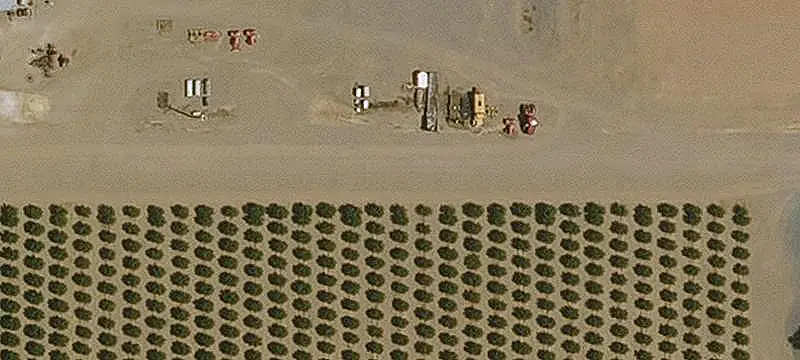 Almond Farm with Water Rights