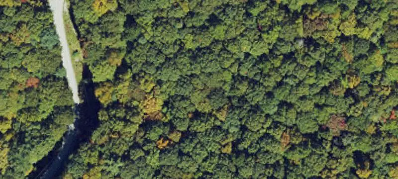Land/Lot