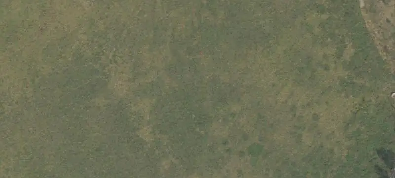 Vacant Hunting Land