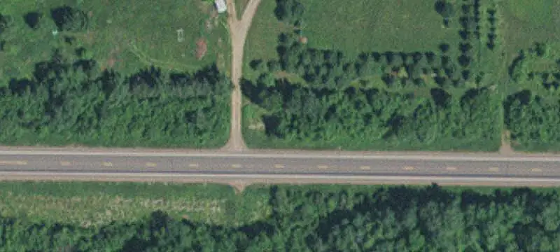Wooded Hunting Land