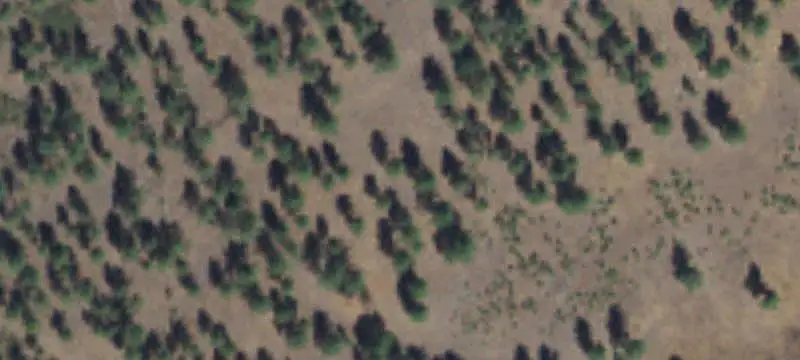 Land/Property