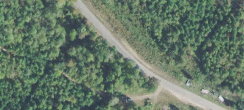 Wooded Hunting Land with Creek