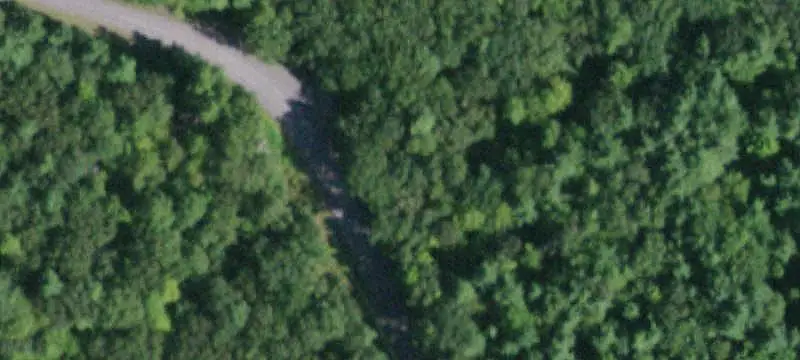 Wooded Land with Spring-Fed Pond
