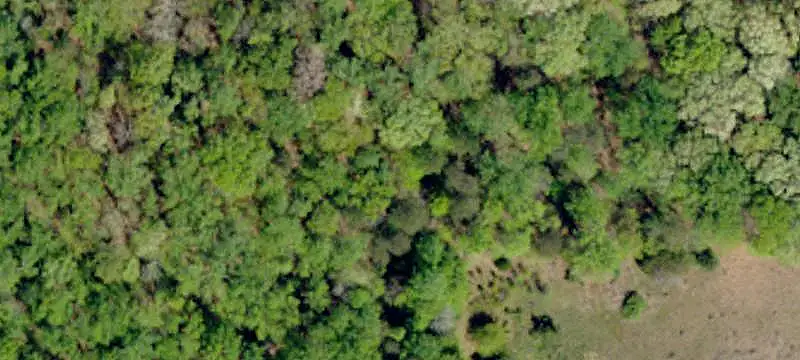 Land / Unimproved Land