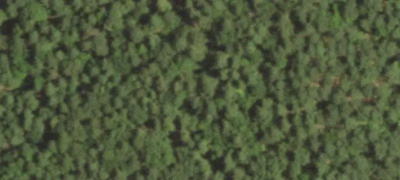 Hunting Land with Creeks and Pond
