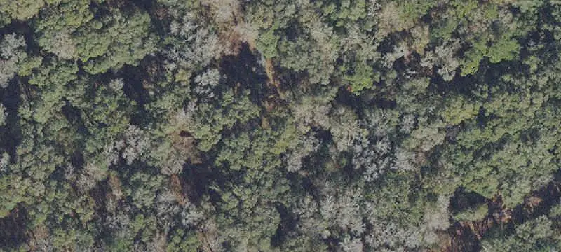 Land/Lot