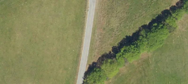 Cleared Agricultural Land