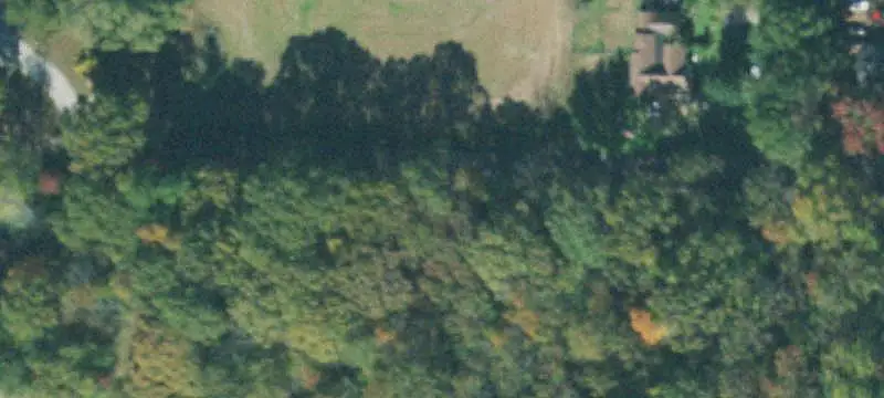 Agricultural Land with Timber and Pasture