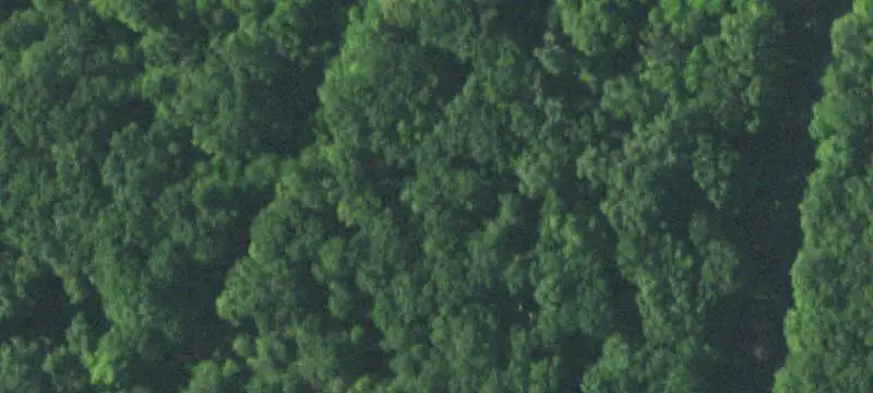 Unimproved Land