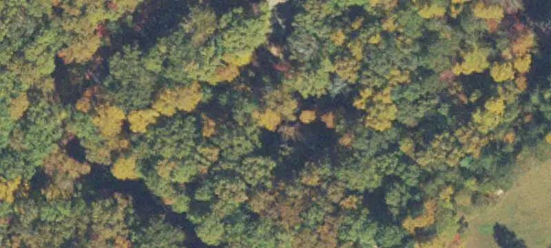 Vacant Land