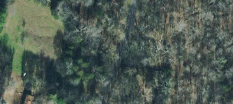 Wooded Agricultural Land