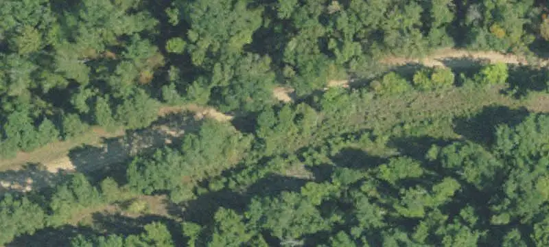 Hunting Land with Year-Round Creek