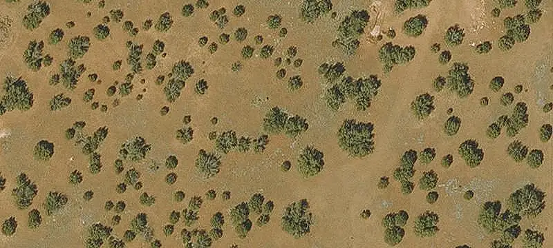 Land/Lot