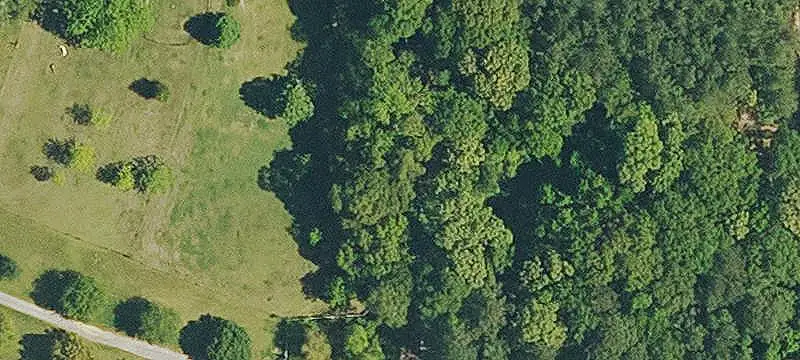 Hunting Land with Timber