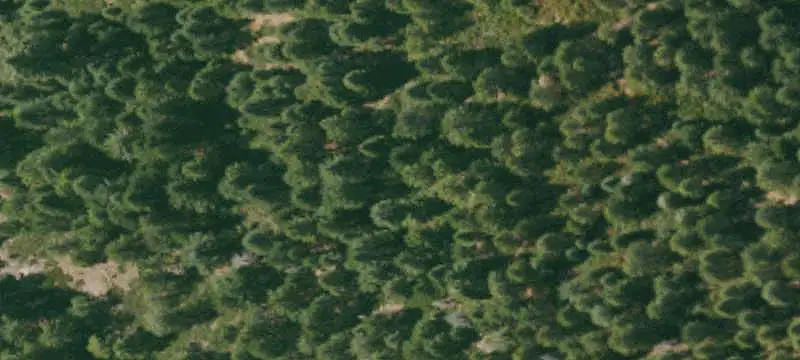 Land/Lot