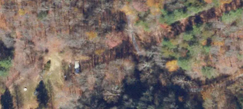 Wooded Hunting Land