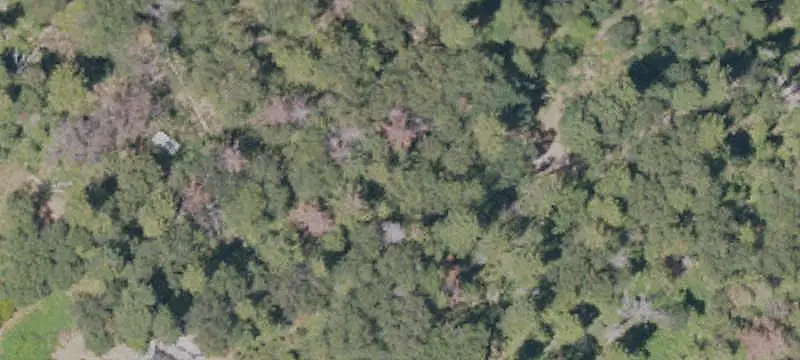 Lots/Land