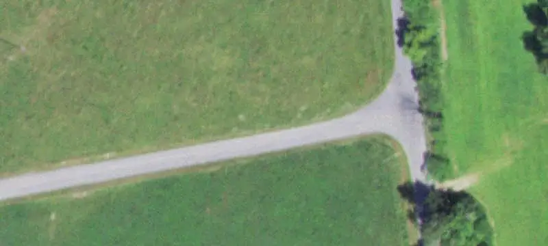 Organic Dairy Farm with Modern Infrastructure