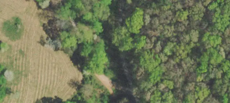 303 Tar Town Hollow Lane, La Follette, TN 37766
