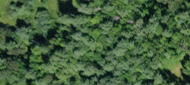 Land Parcel with Seasonal Ponds