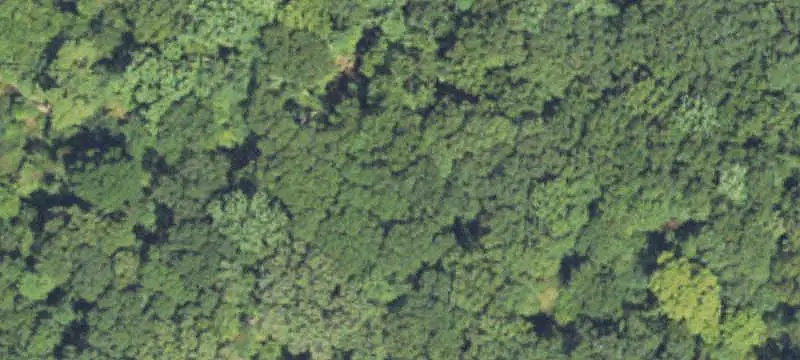Two-Lot Commercial Land