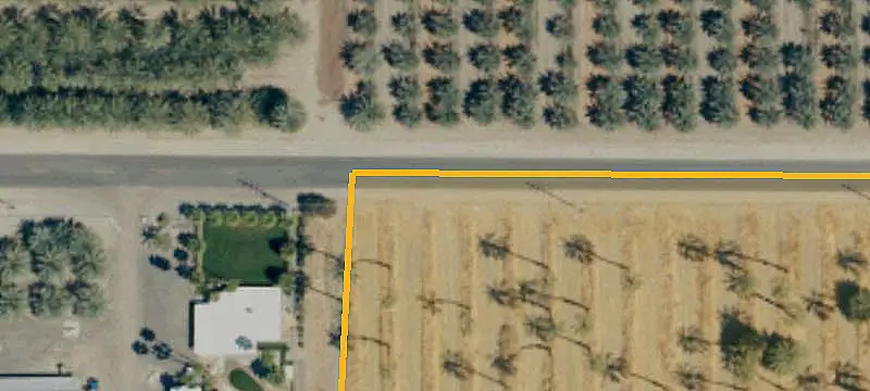 Organic Date Ranch