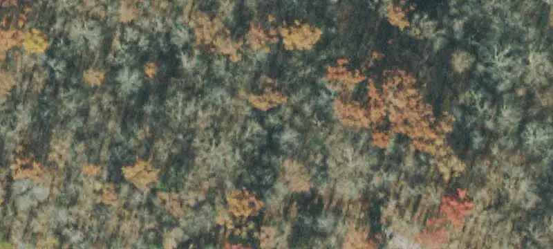 21 Ashford Place, Crossville, TN 38558