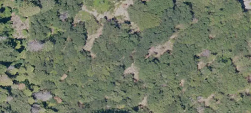 Lots/Land