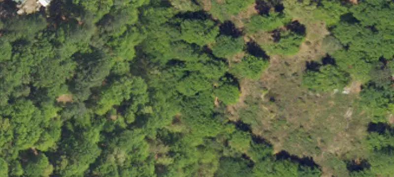 Partially Cleared Land Tract