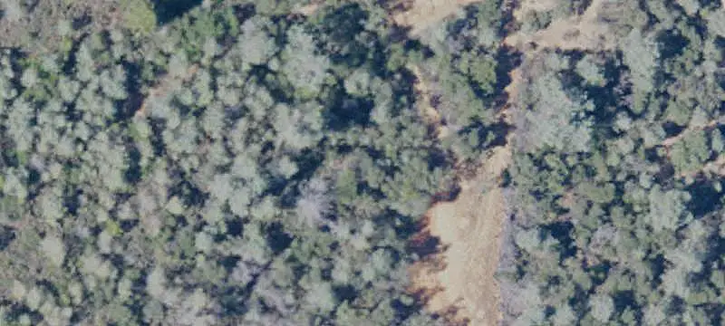 Land/Lot
